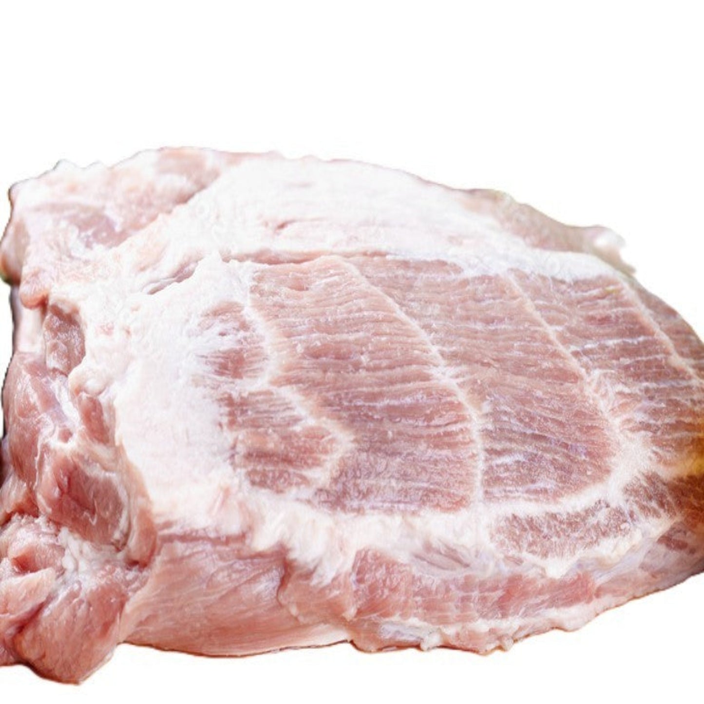 PRESA - DUROC CRUZADO