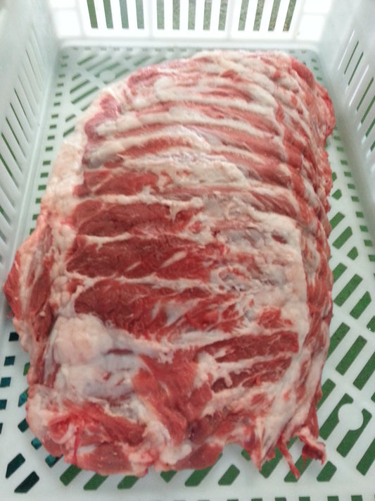 COSTILLA IBERICA CARNOSA ENTERA CONGELADA